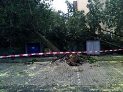 Hilfeleistung nach schwerem Gewitter 2009 - Bild 1