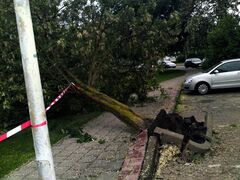 Hilfeleistung nach schwerem Gewitter 2009 - Bild 2