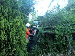 Hilfeleistung nach schwerem Gewitter 2009 - Bild 5